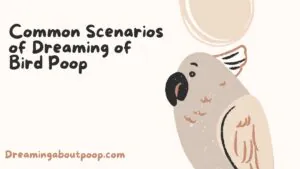 Common Scenarios of Dreaming of Bird Poop