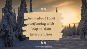 Dream about Toilet overflowing with Poop in Islam Interpretation