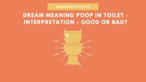 Dream meaning Poop in Toilet