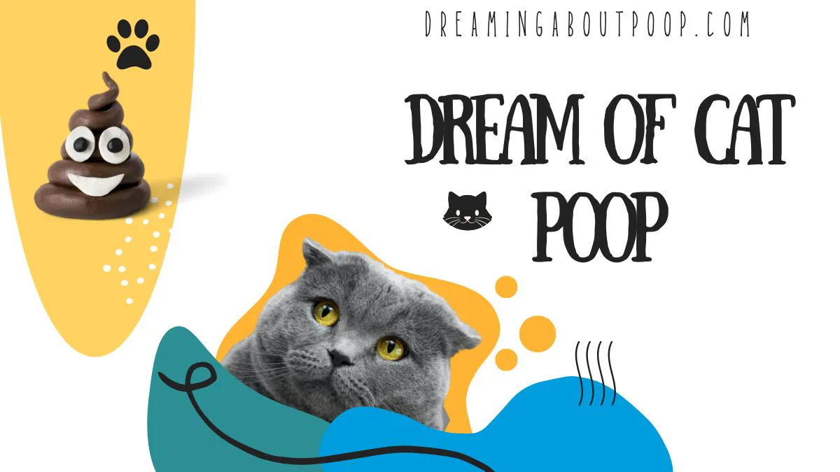 Dream of Cat Poop