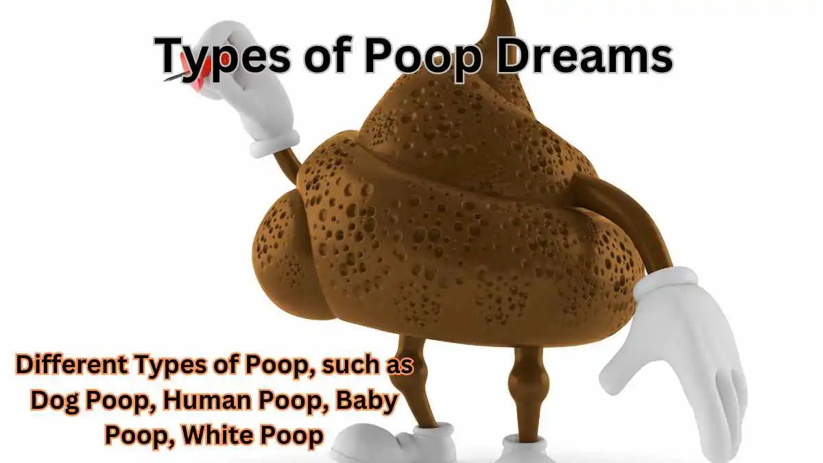 Types of Poop Dreams