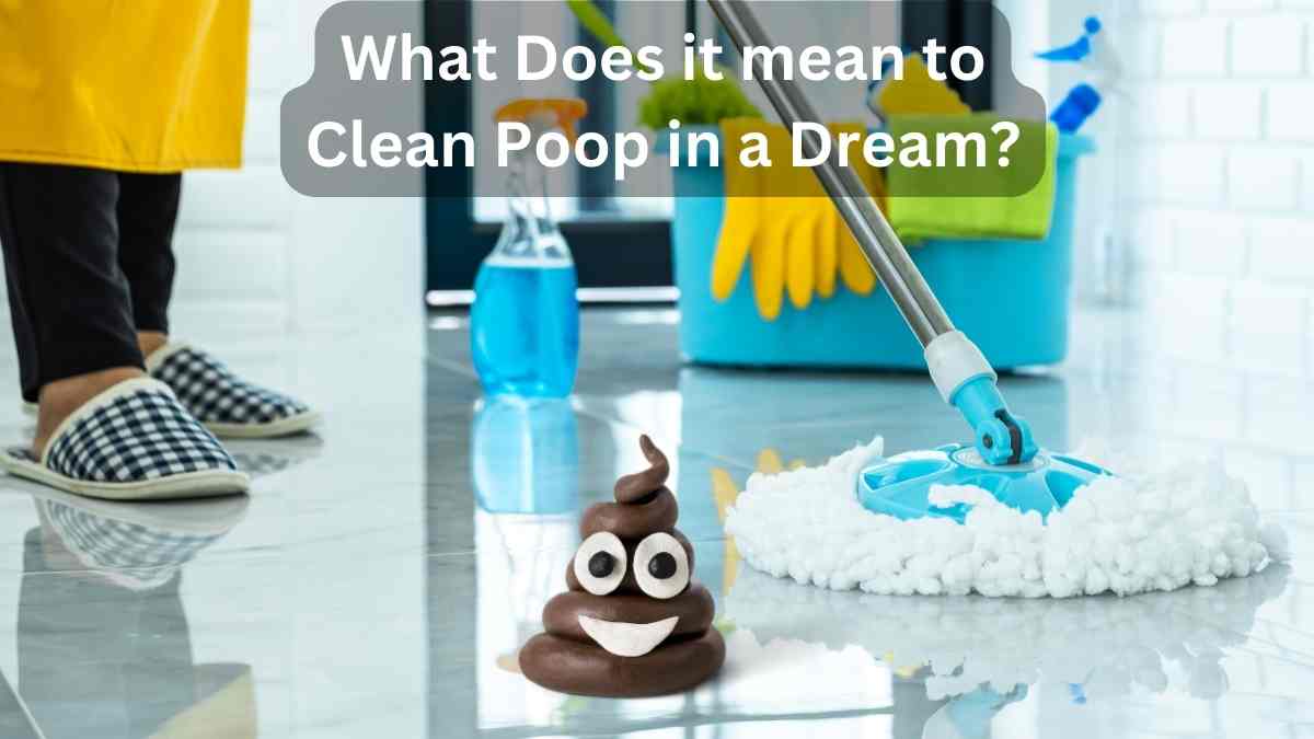 What Does it mean to Clean Poop in a Dream