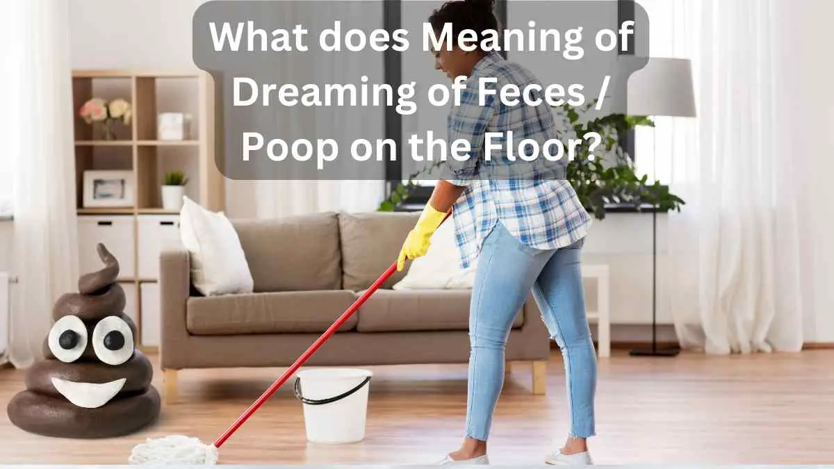 What does Meaning of Dreaming of Feces  Poop on the Floor