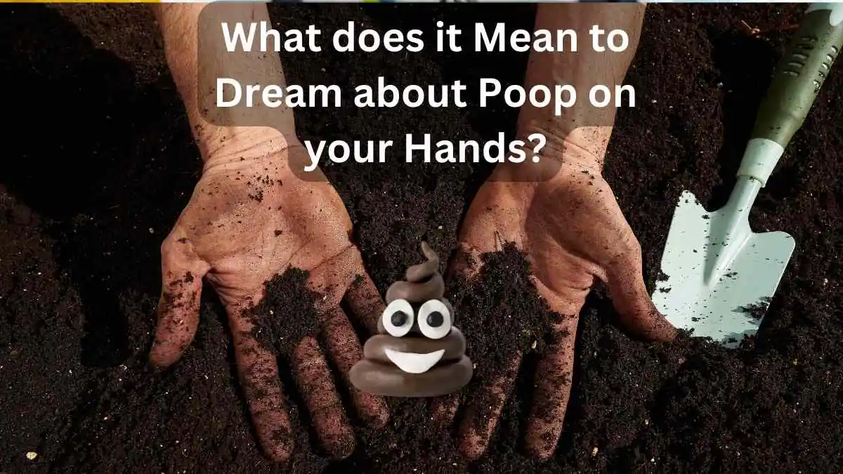 What does it Mean to Dream about Poop on your Hands