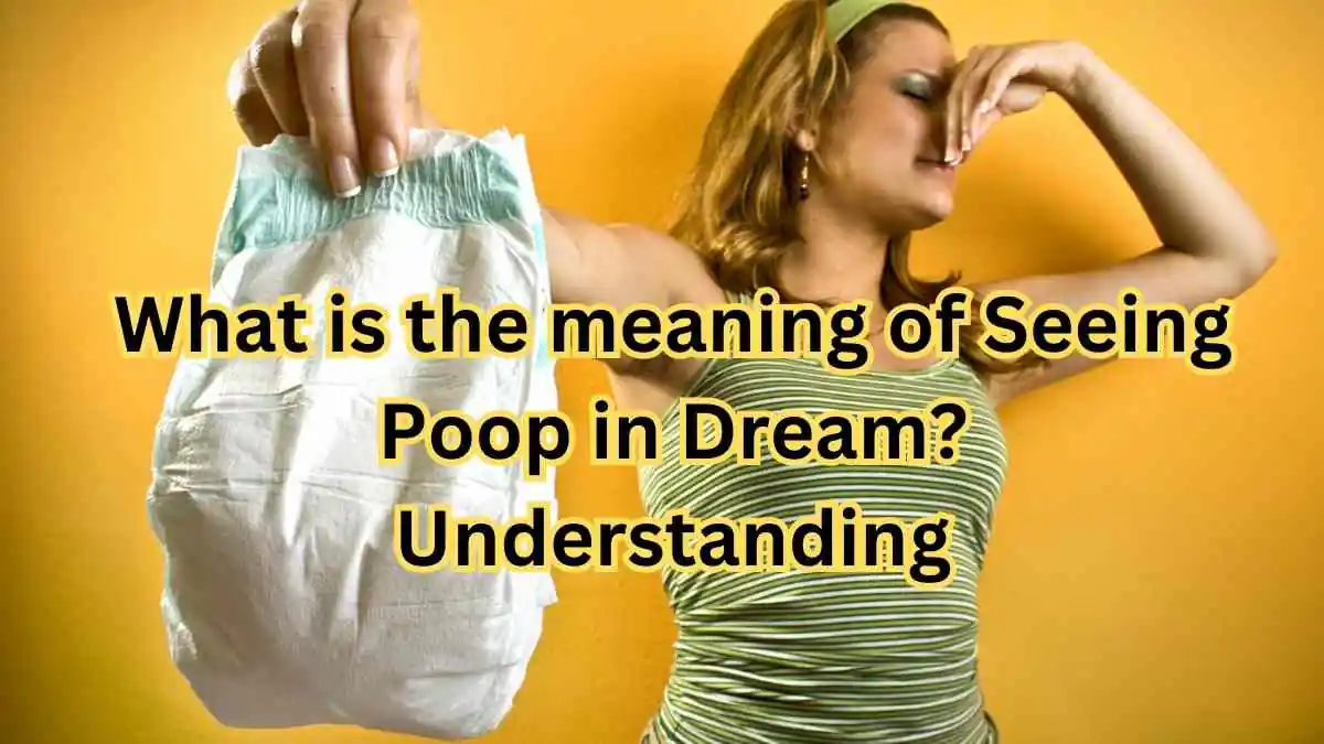 What is the meaning of Seeing Poop in Dream Understanding